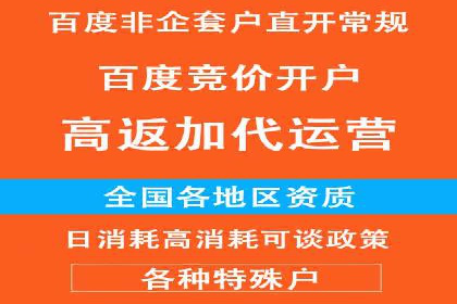 成功SEM托管案例解析